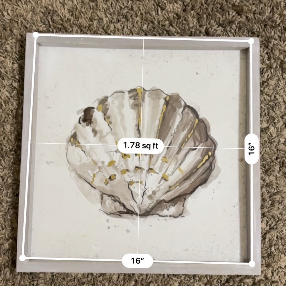 Hobby Lobby Seashell Art in Cream and Brown